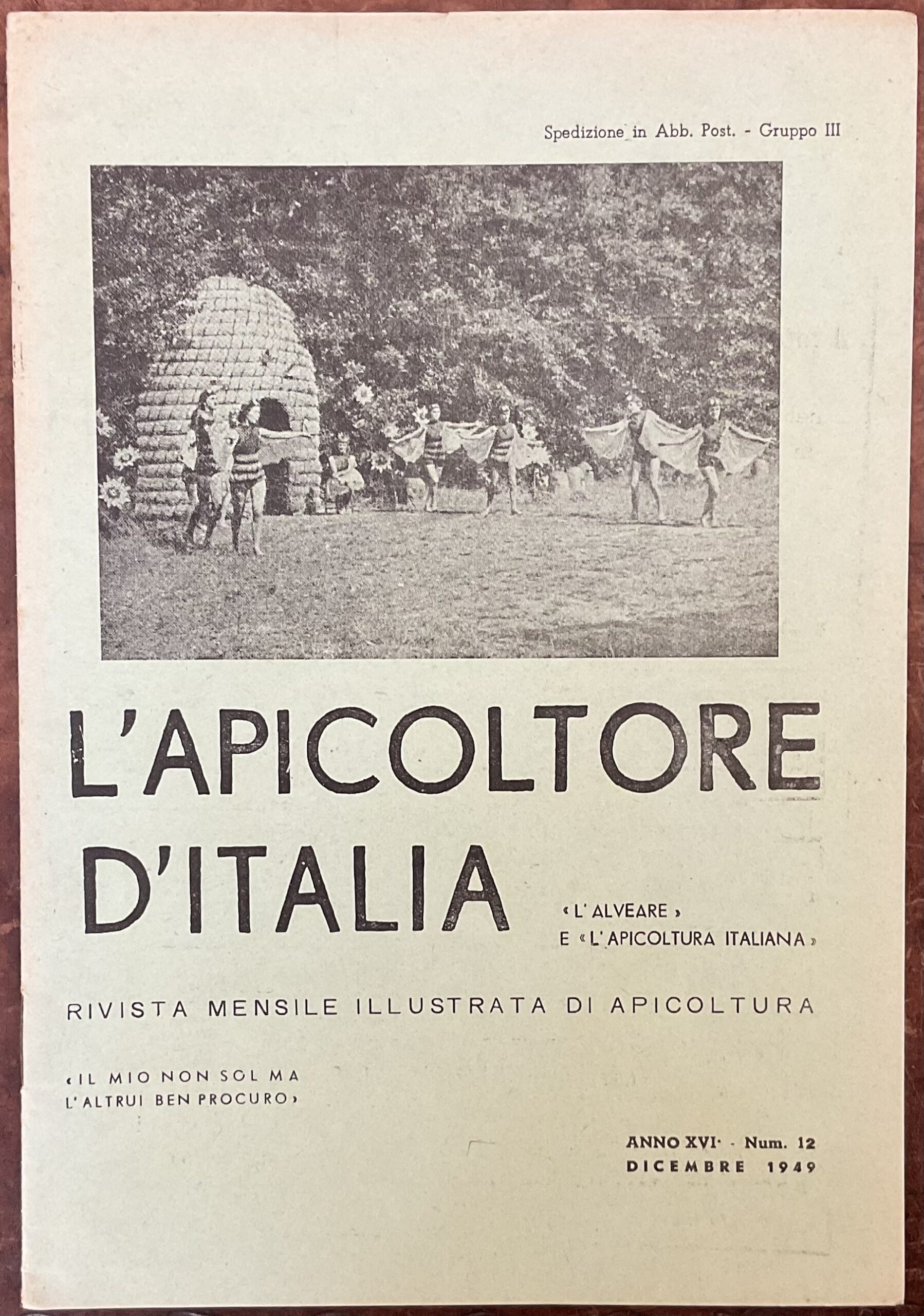 L�Apicoltore d�Italia. Rivista mensile illustrata di apicoltura. Anno XVI, Dicembre …