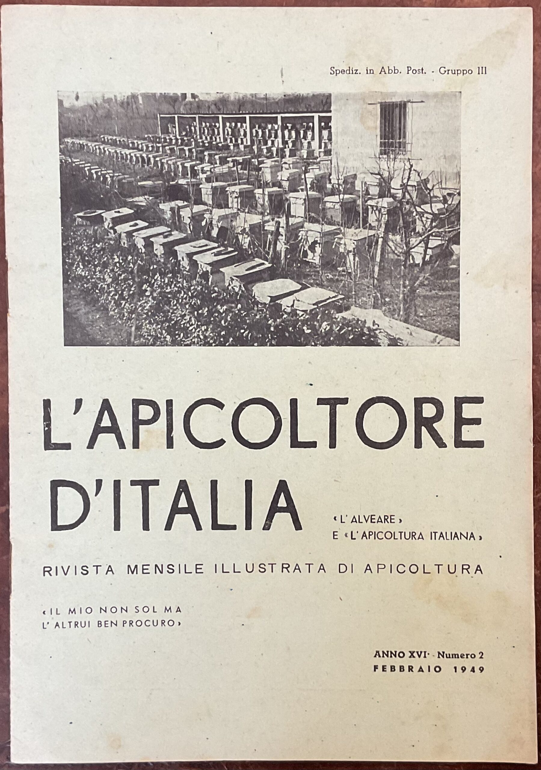 L�Apicoltore d�Italia. Rivista mensile illustrata di apicoltura. Anno XVI,Febbraio 1949. …