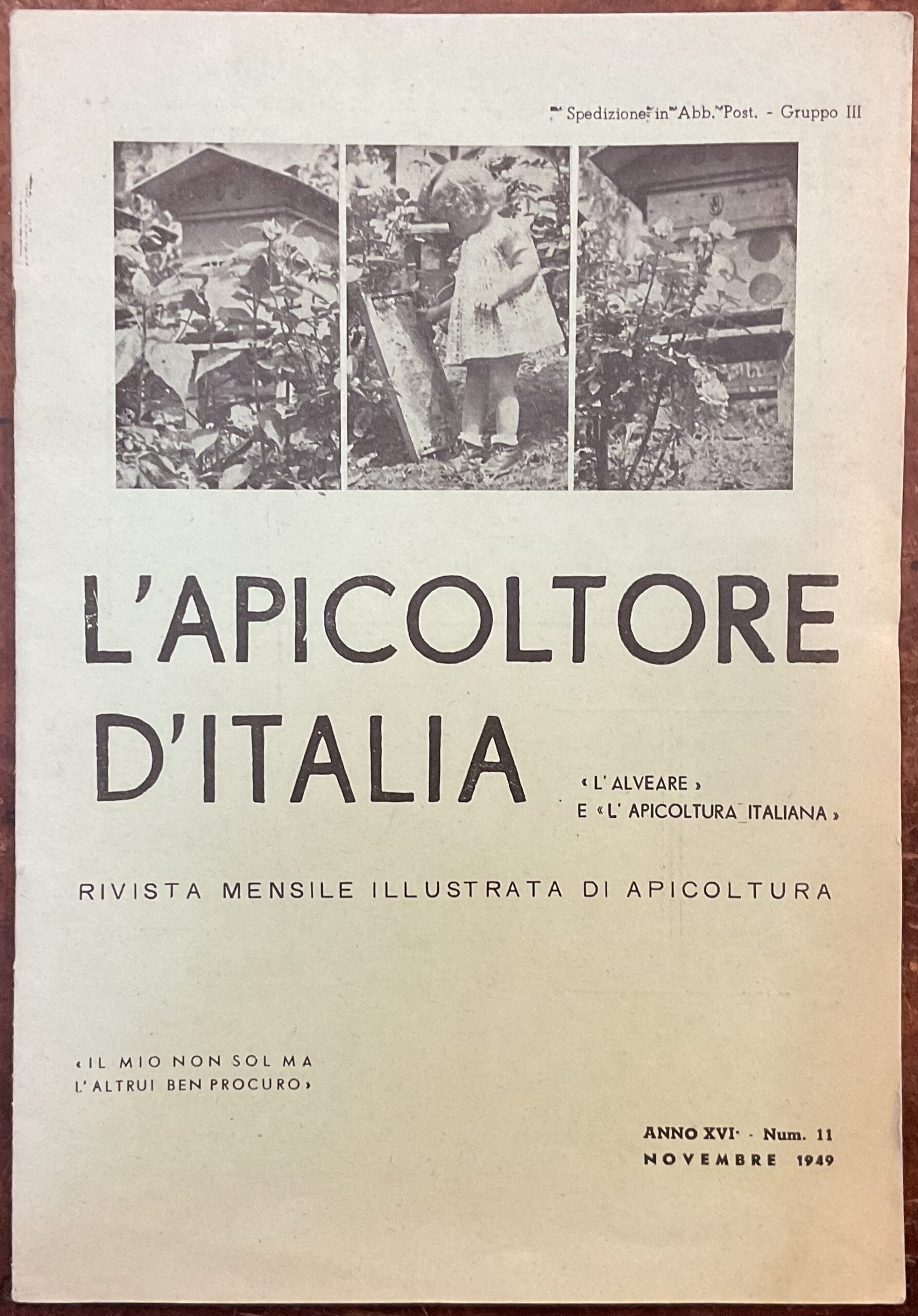 L�Apicoltore d�Italia. Rivista mensile illustrata di apicoltura. Anno XVI, Novembre …