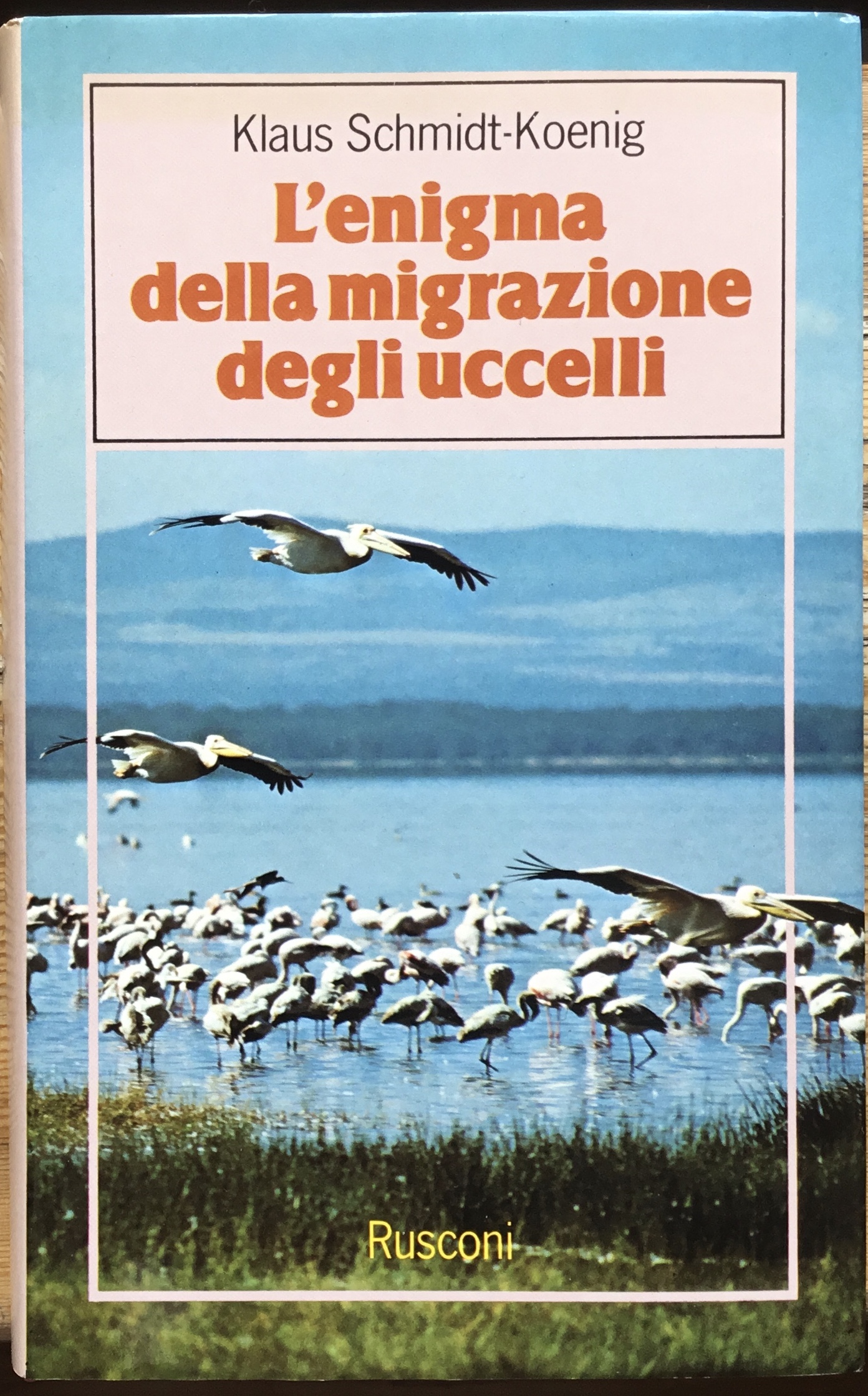 L�enigma della migrazione degli uccelli