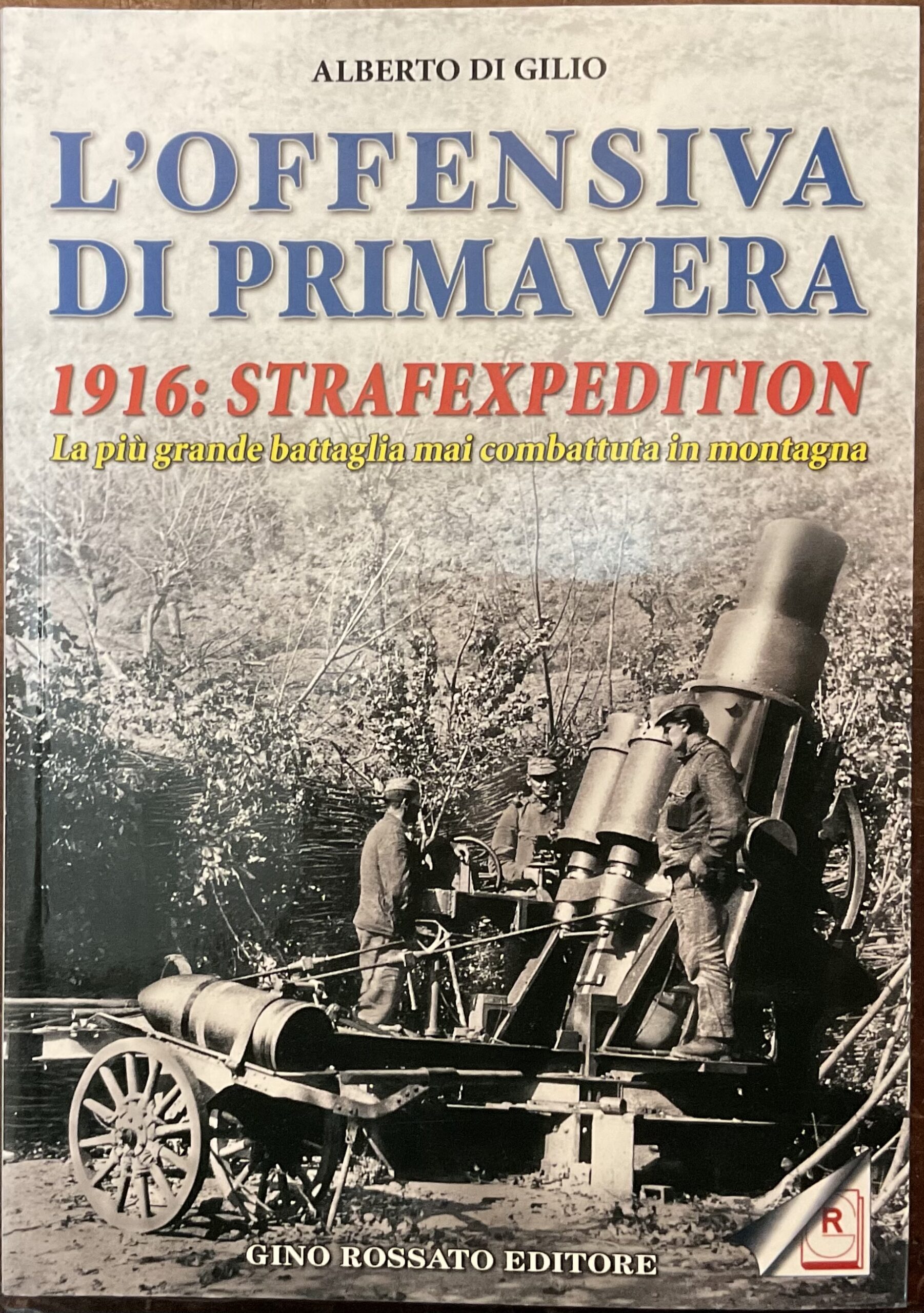 L’offensiva di primavera. 1916: Strafexpedition. La più grande battaglia mai …