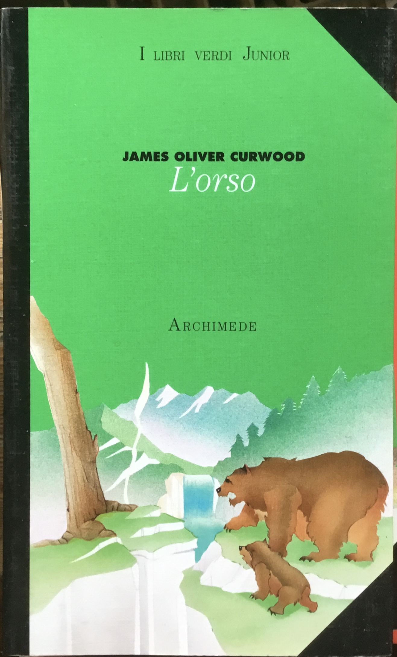 L’orso