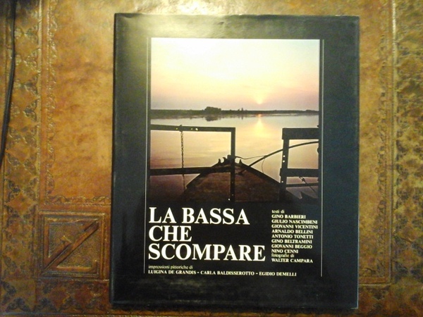 LA BASSA CHE SCOMPARE impressioni pittoriche di Luigina De Grandis, …