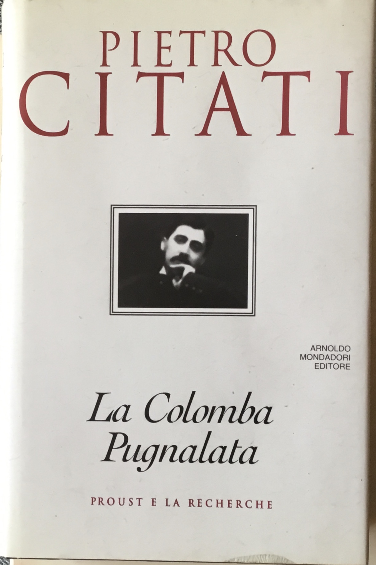 La colomba pugnalata. Proust e la Recherche