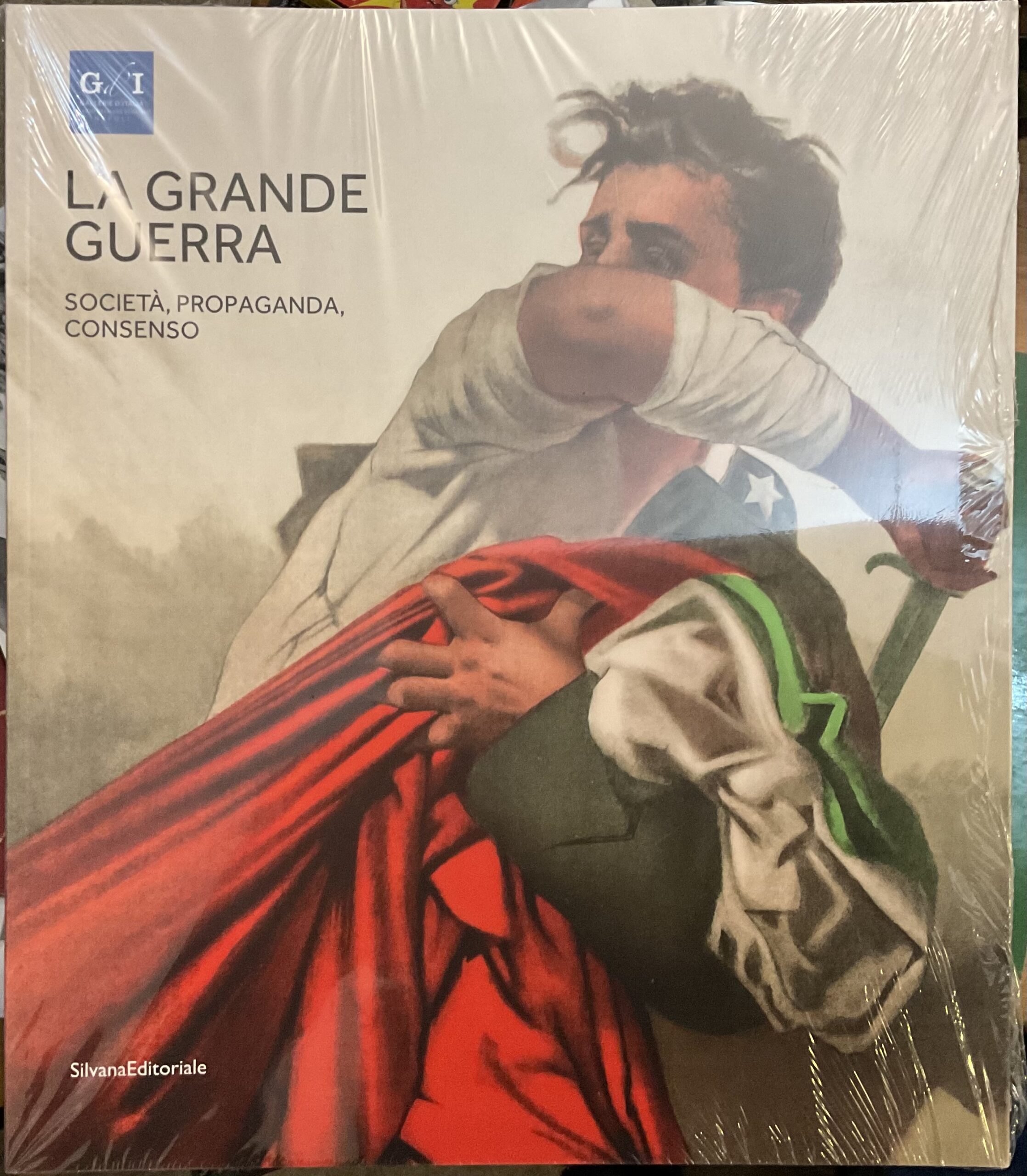 La Grande Guerra. Società, propaganda, consenso