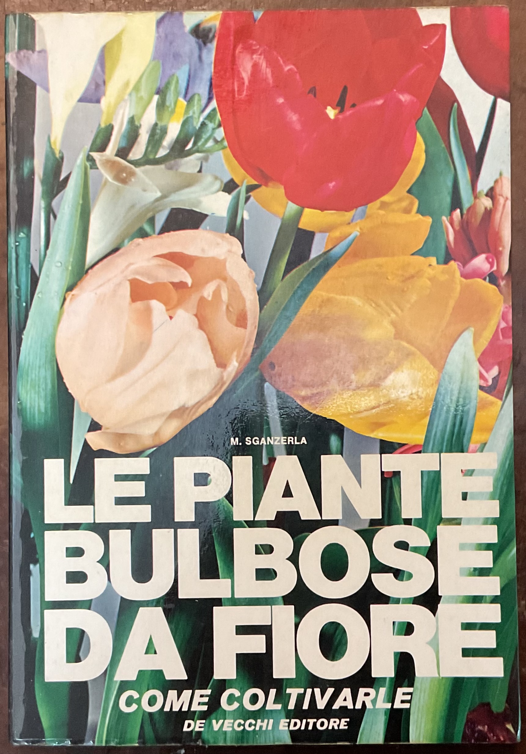 Le piante bulbose da fiore, come coltivarle