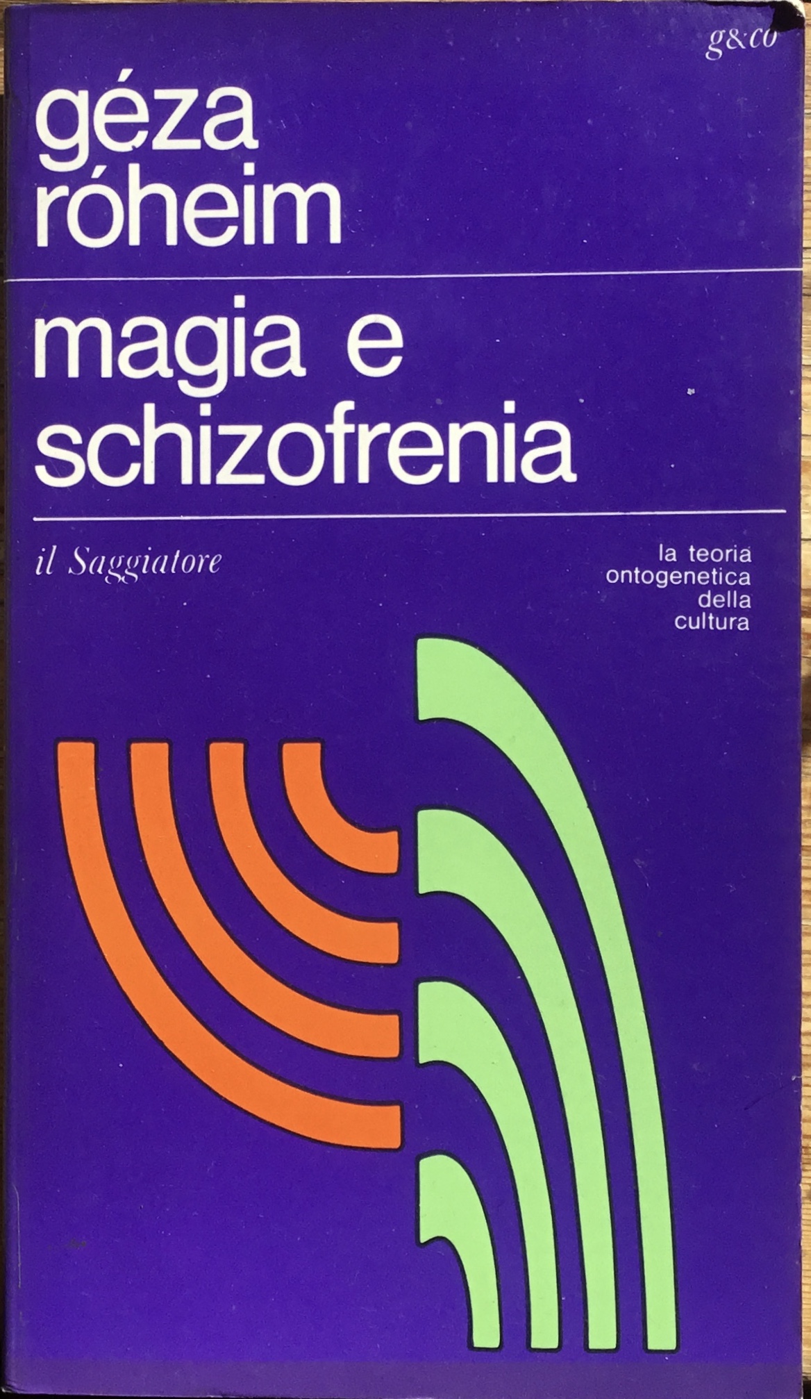 Magia e schizofrenia