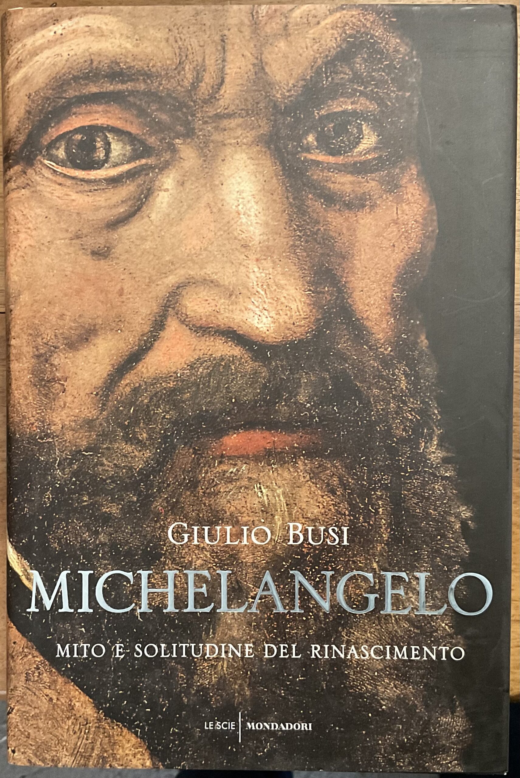 Michelangelo. Mito e solitudine del Rinascimento