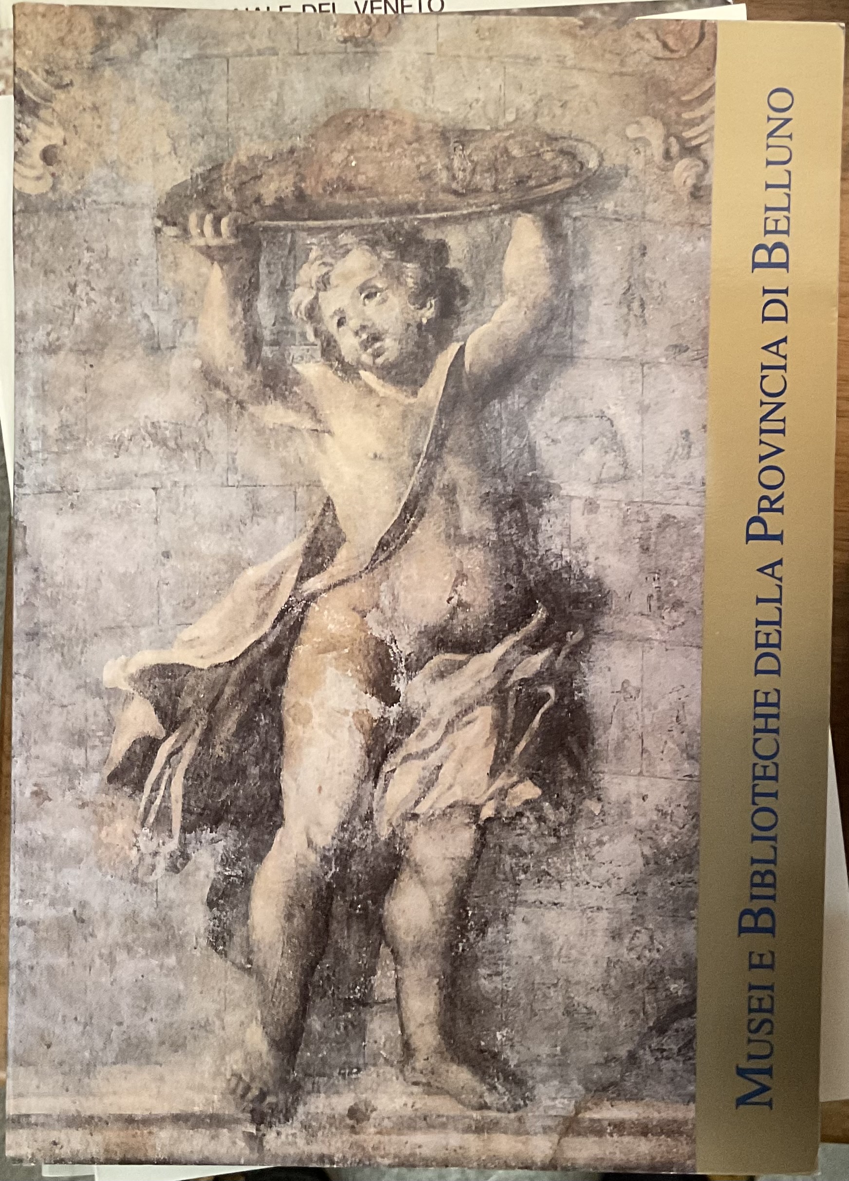 Musei e Biblioteche della Provincia di Belluno