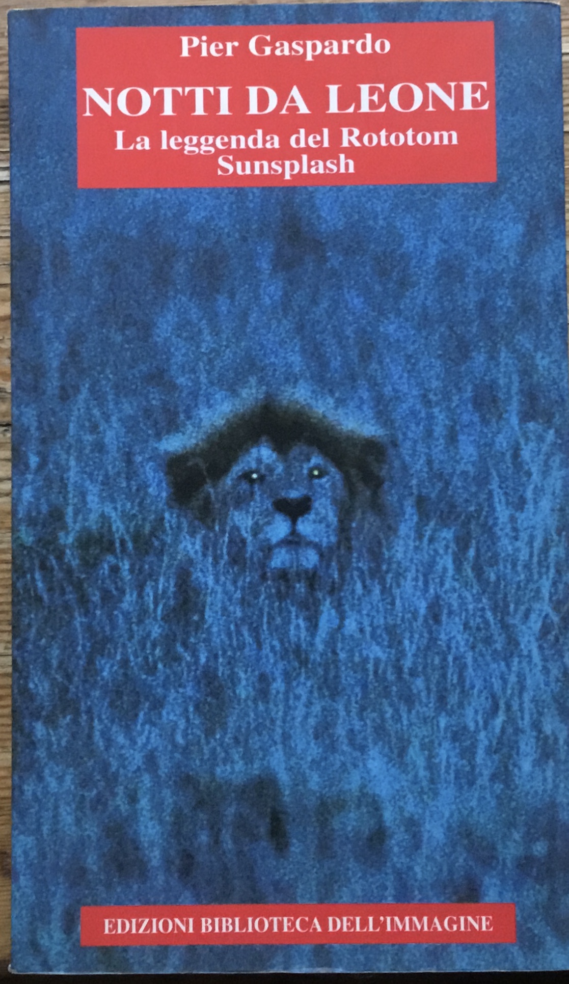 Notti da leone. La leggenda del Rototom Sunsplash