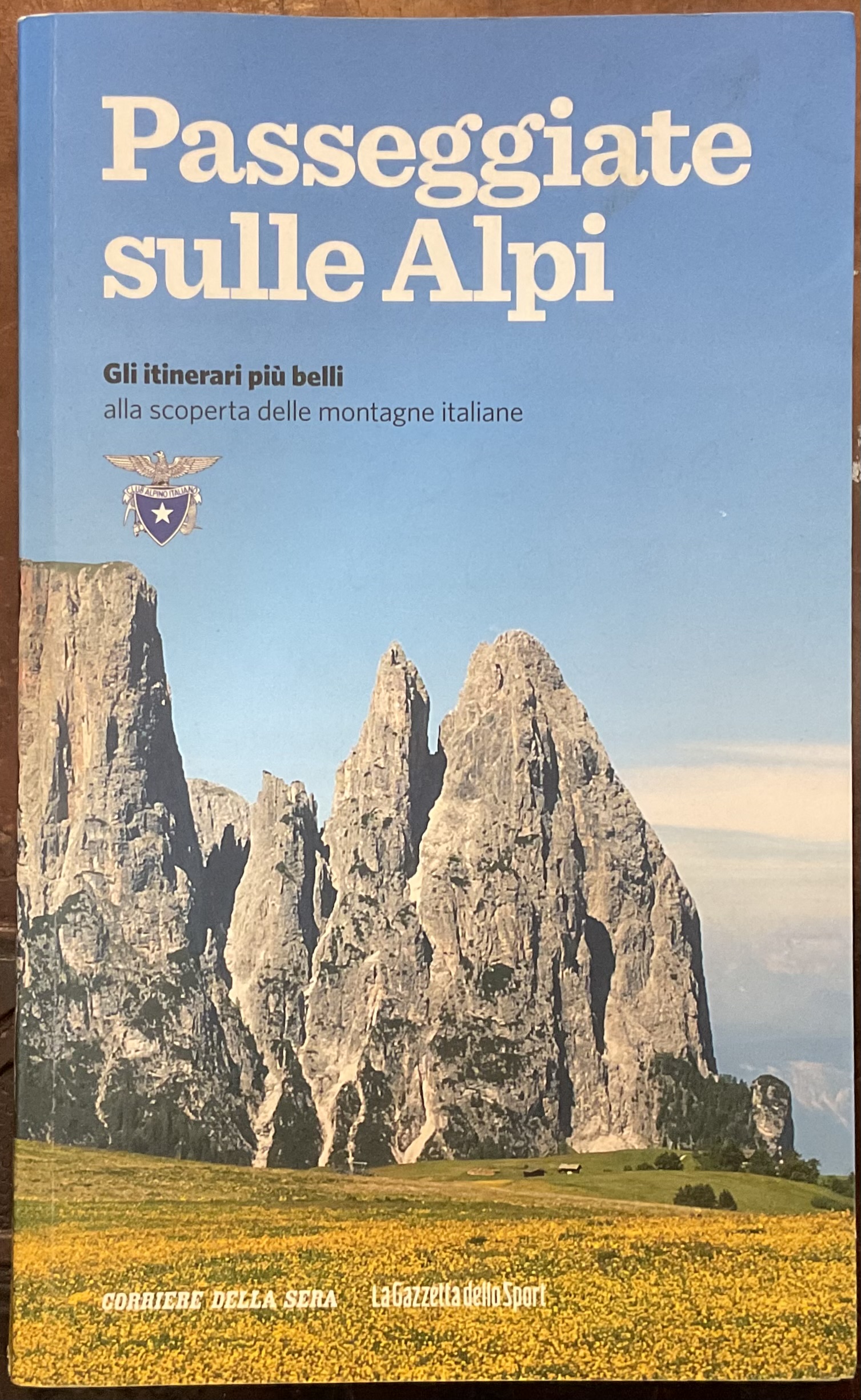 Passeggiate sulle Alpi