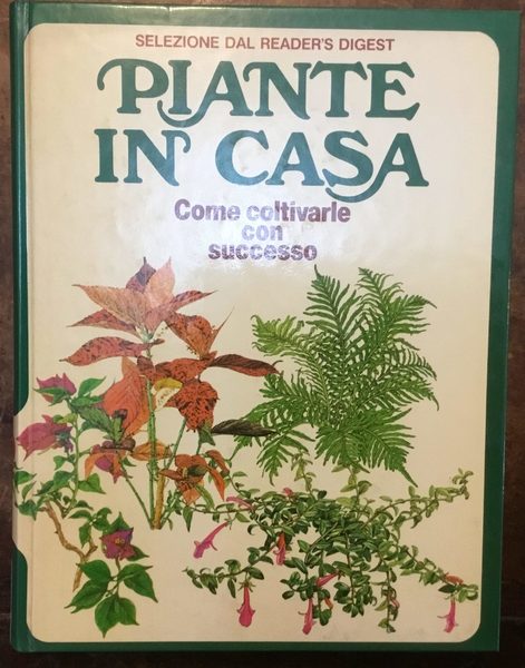 Piante in casa. Come coltivarle con successo