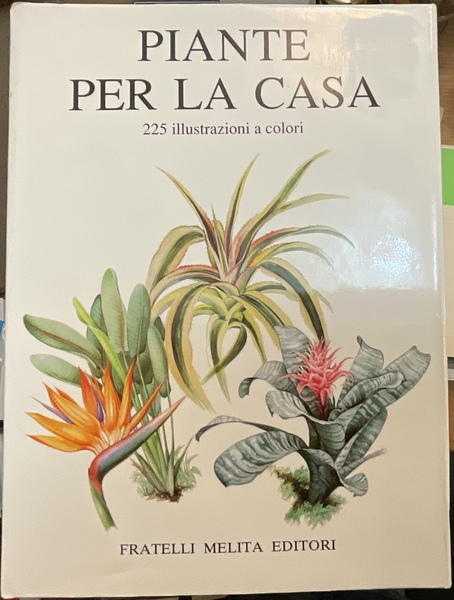 Piante per la casa