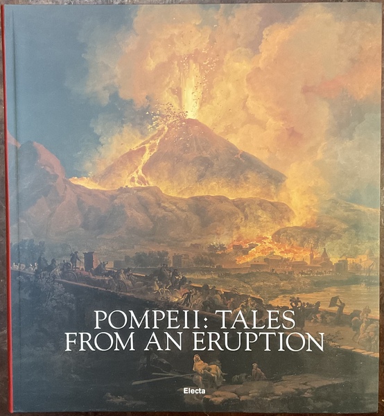 Pompei: tales from an eruption. Guide to the exhibition