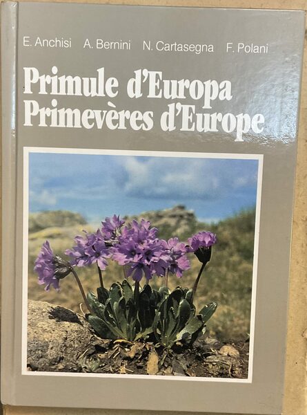 Primule d’Europa. Primevères d’Europe