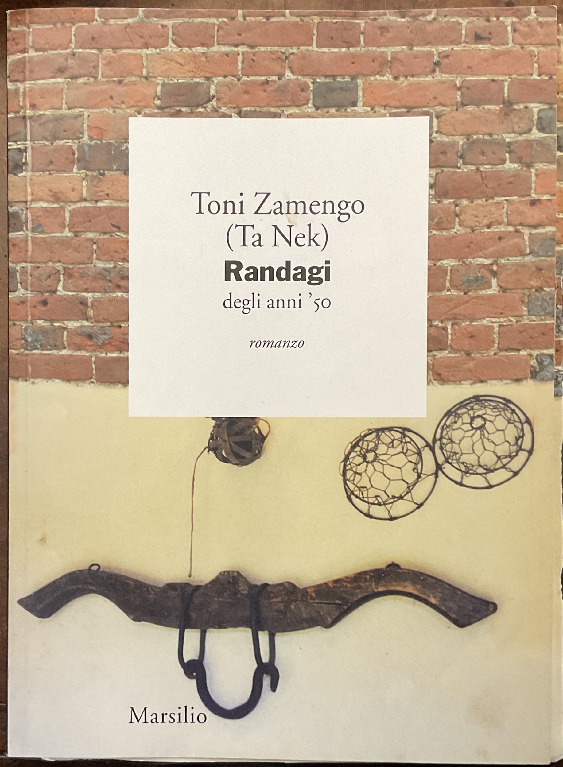 Randagi degli anni ‘50