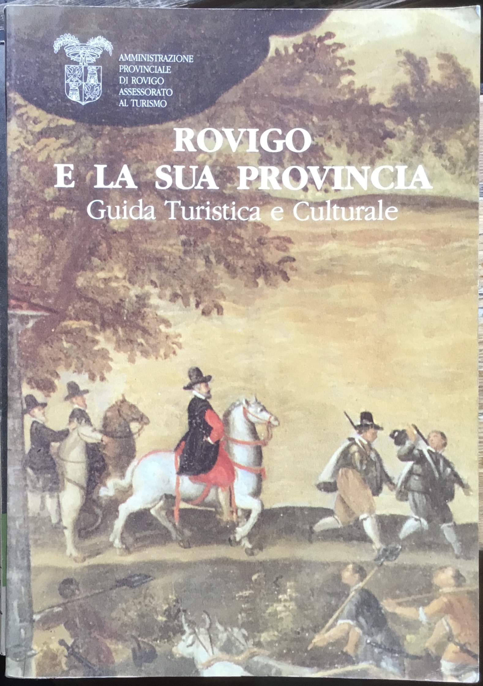 Rovigo e la sua provincia. Guida turistica e culturale