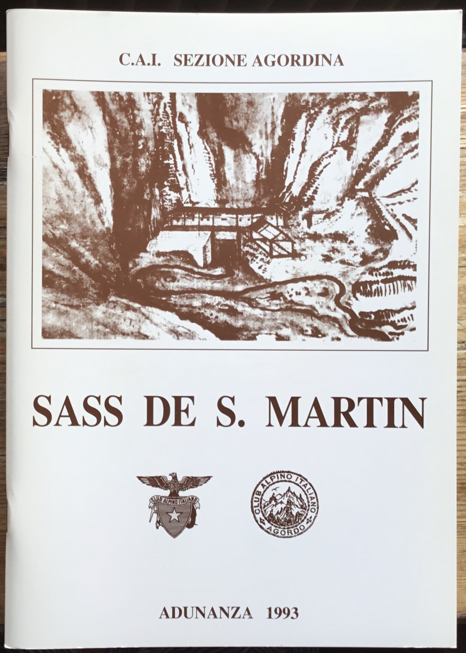 Sass De S. Martin. Adunanza 1993.