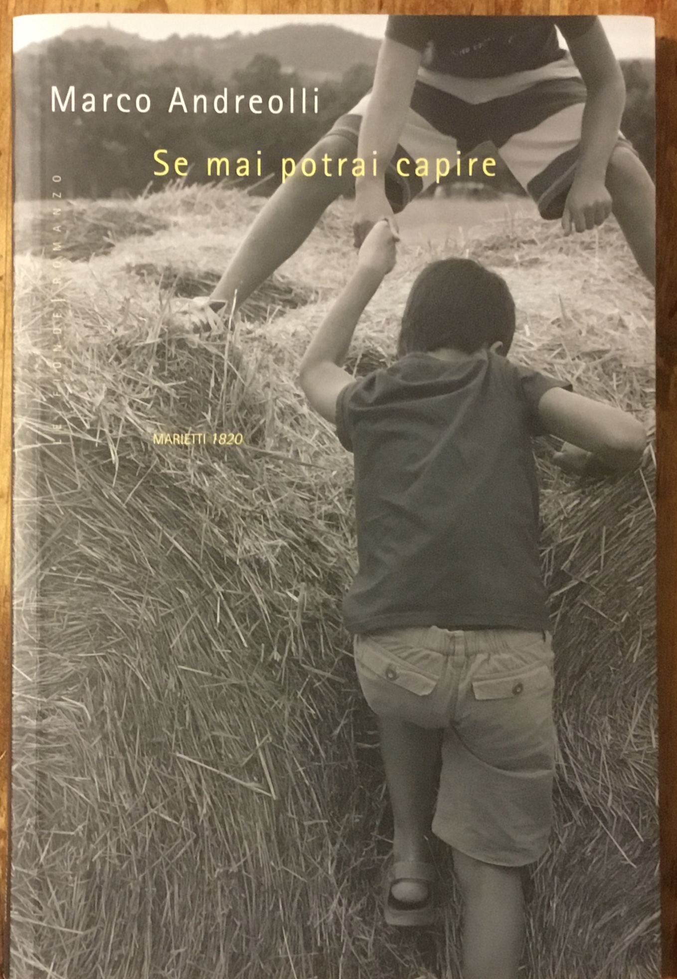 Se mai potrai capire