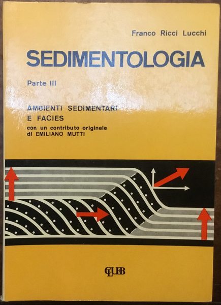 Sedimentologia. Parte III. Ambienti sedimentari e facies