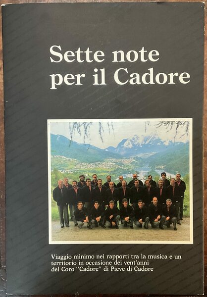 Sette note per il Cadore. Viaggio minimo nei rapporti tra …