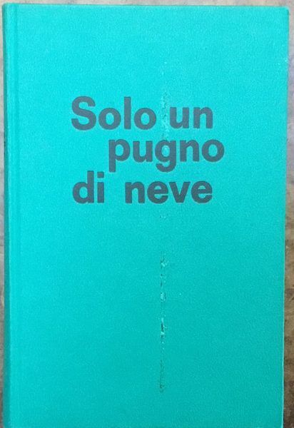 Solo un pugno di neve