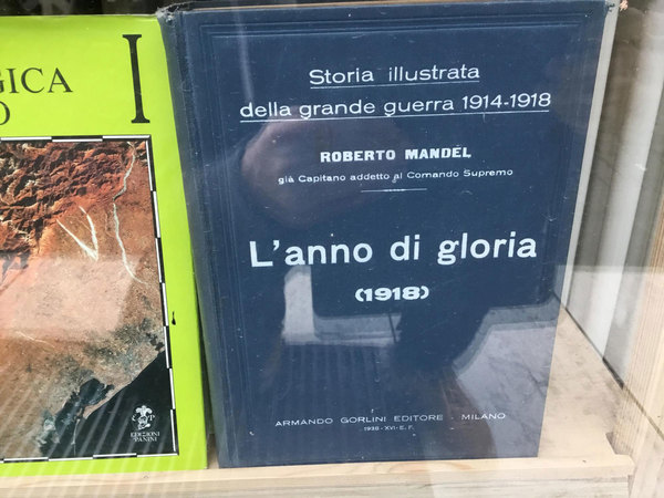 Storia illustrata della grande guerra 1914-1918. Vol. 5. L’anno di …