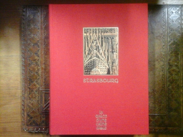 Strasbourg. La grâce d'une chatédrale