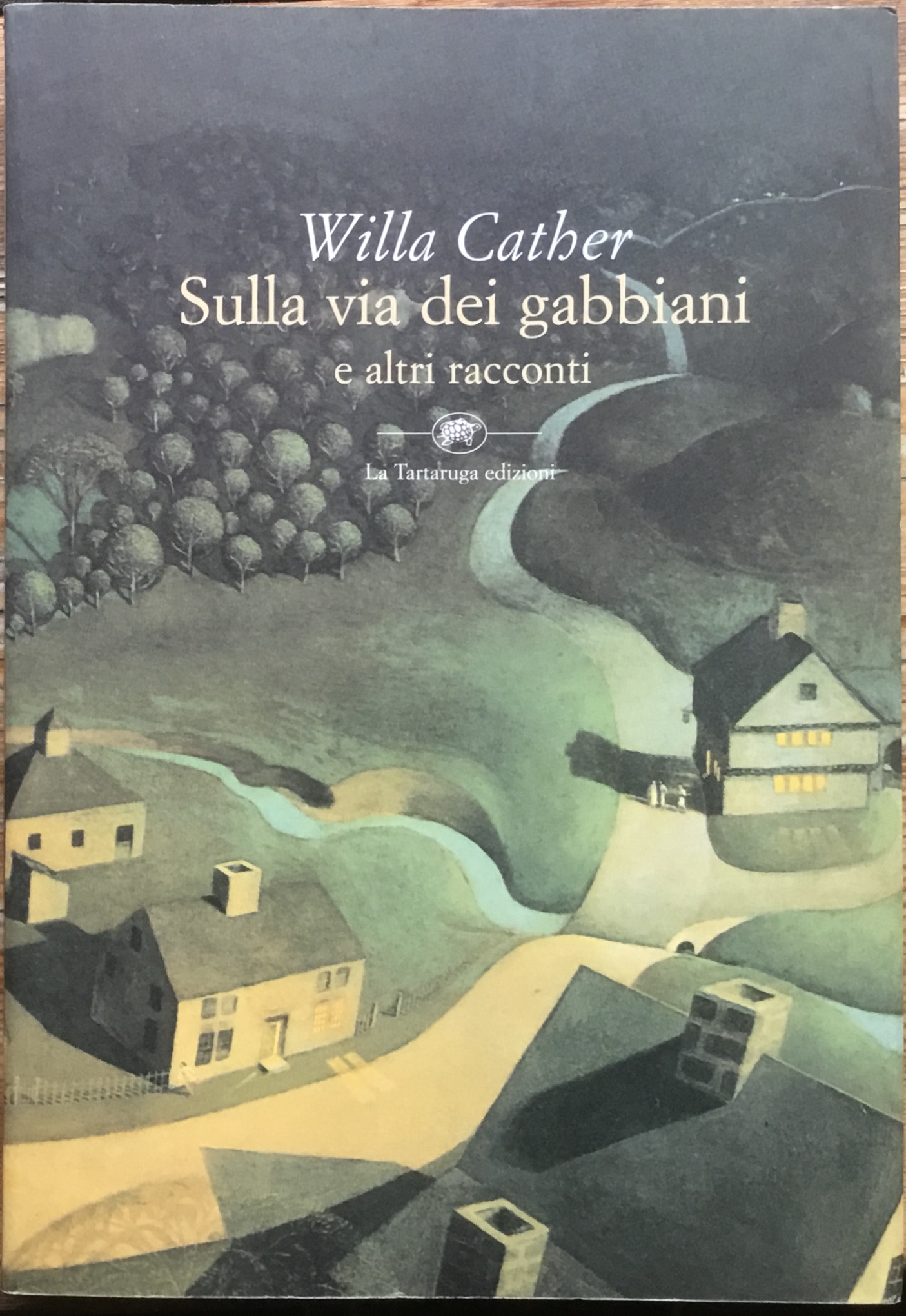 Sulla via dei gabbiani