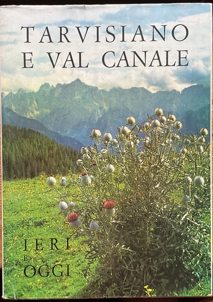 Tarvisiano e Val Canale