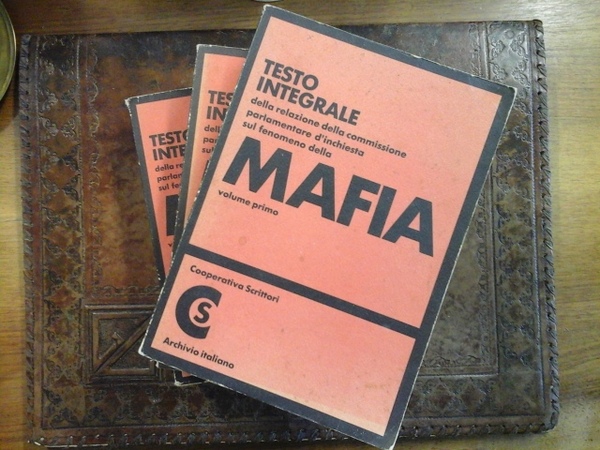 Testo integrale della relazione della Commissione parlamentare d'inchiesta sul fenomeno …