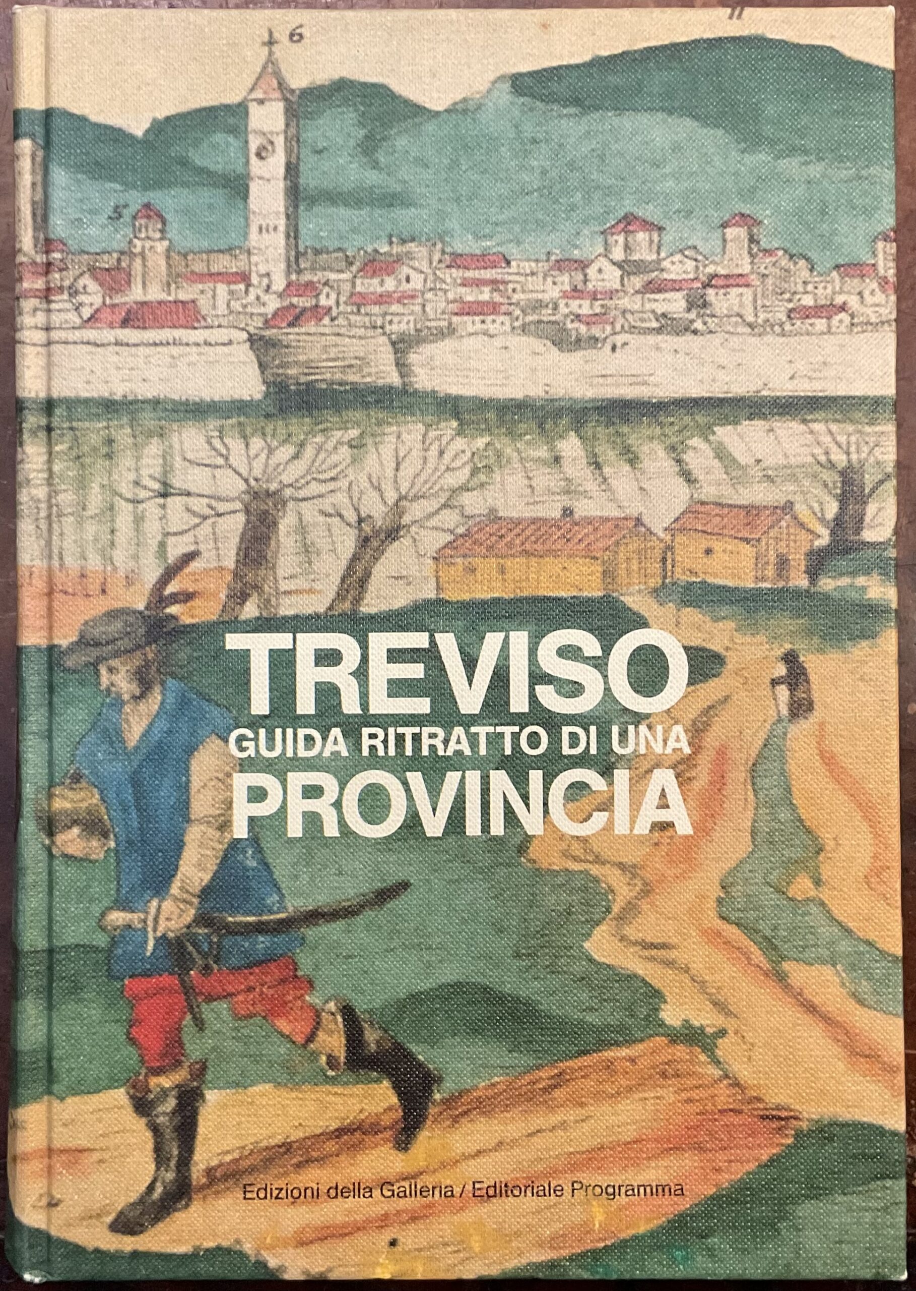 Treviso, guida ritratto di una provincia
