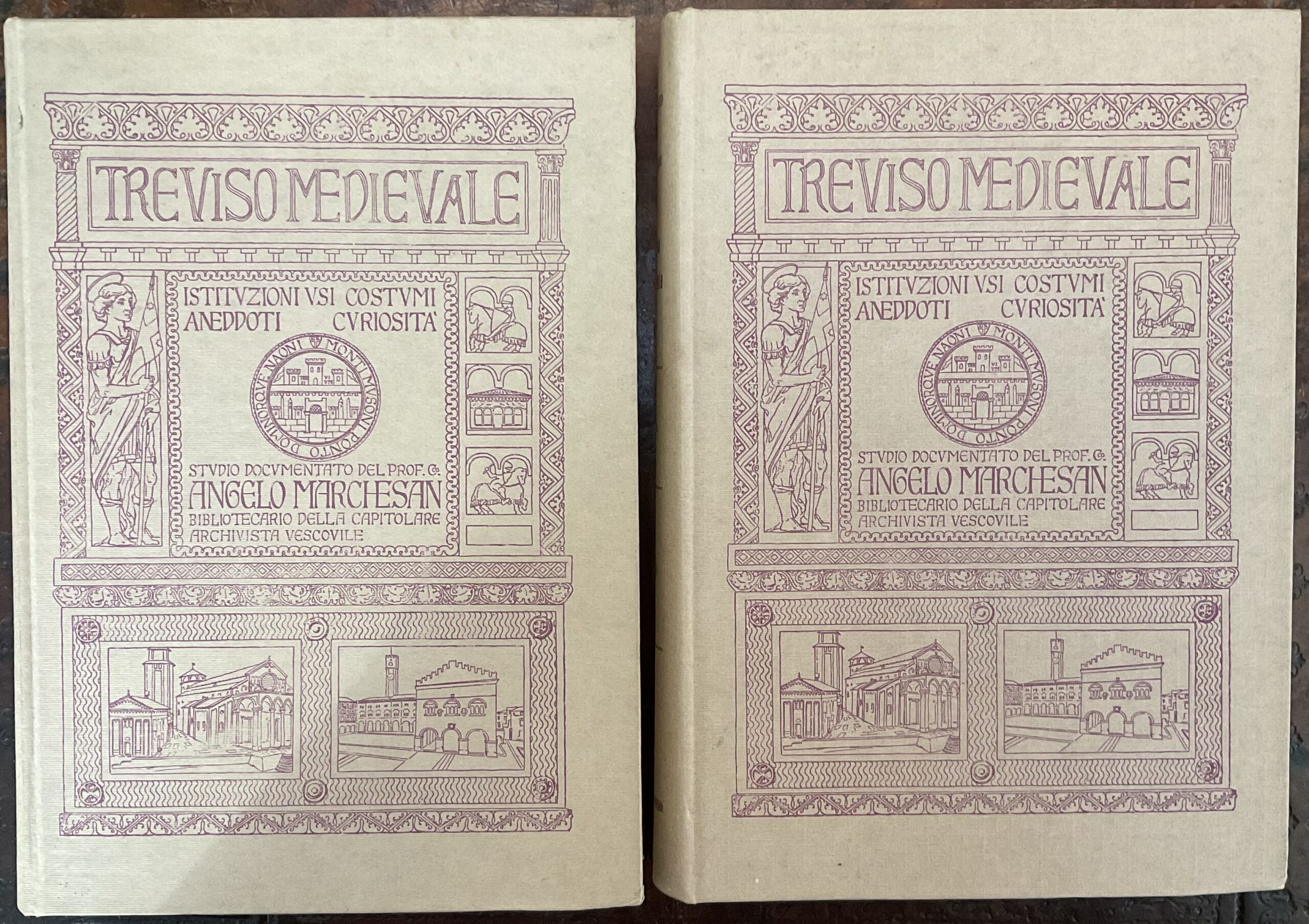 Treviso medievale. Istituzioni, usi, costumi, aneddoti, curiosità