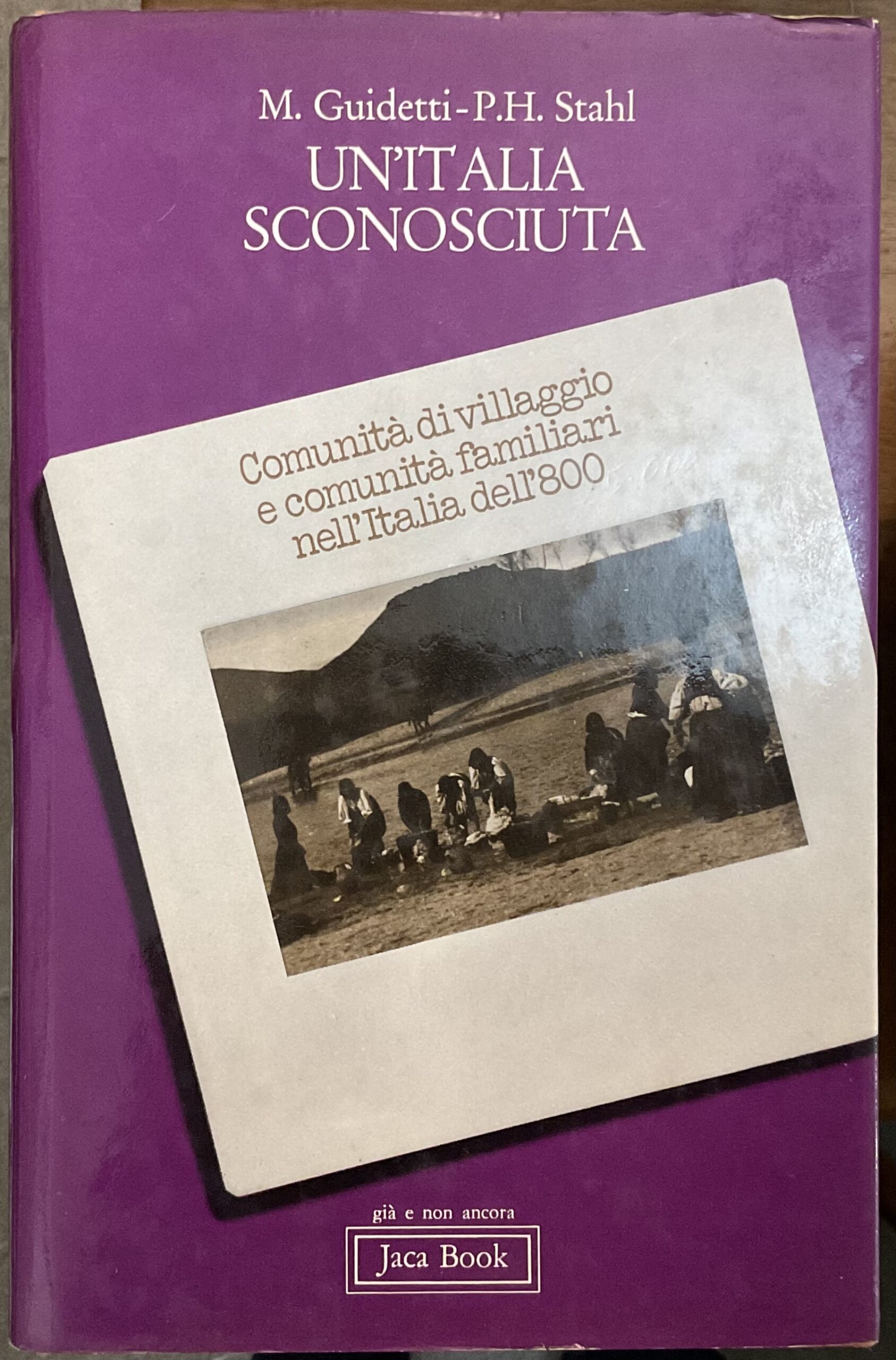 Un'Italia sconosciuta. Comunit�i villaggio e comunit�amiliari nell'Italia dell'800