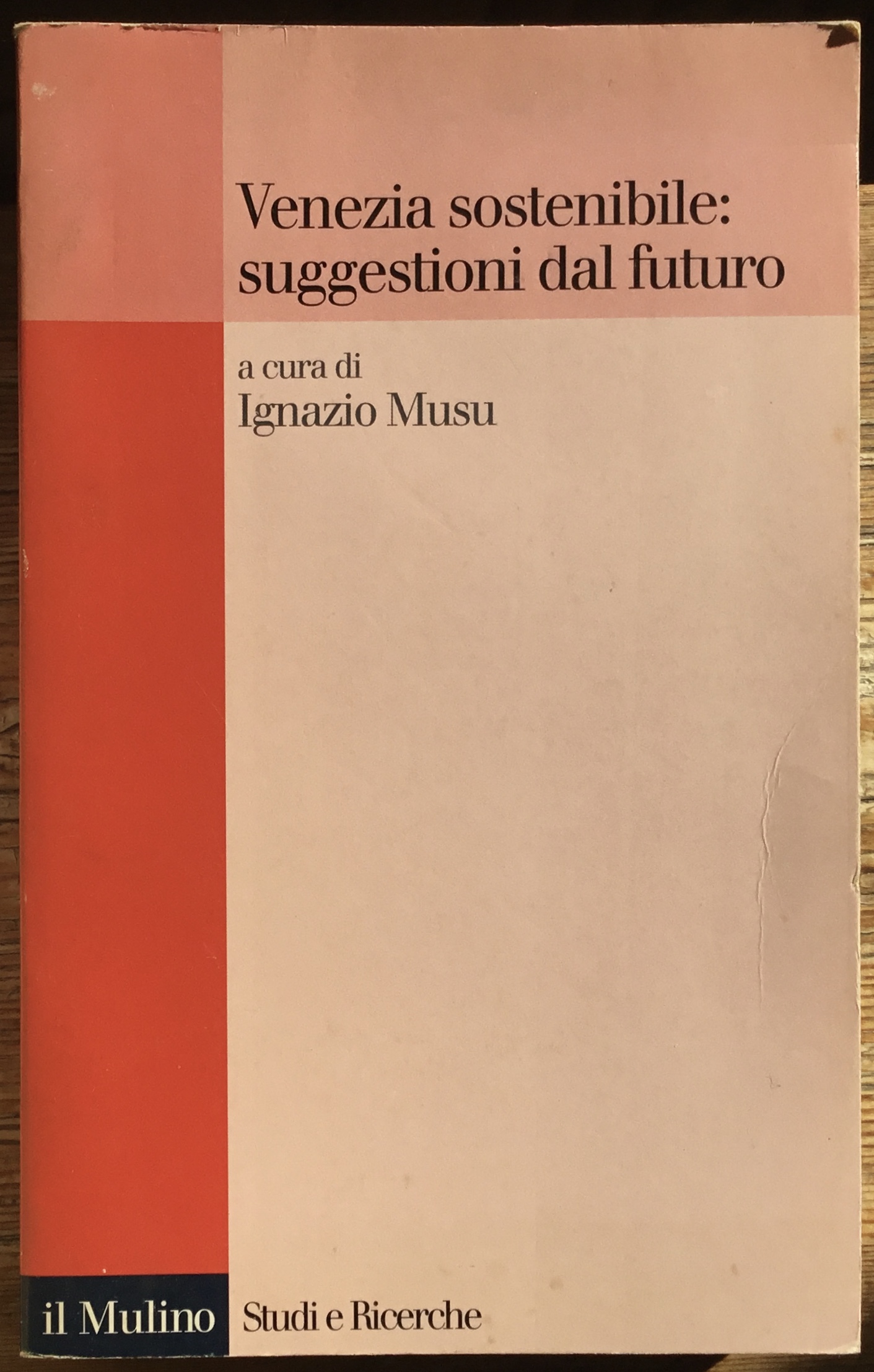 Venezia sostenibile: suggestioni dal futuro