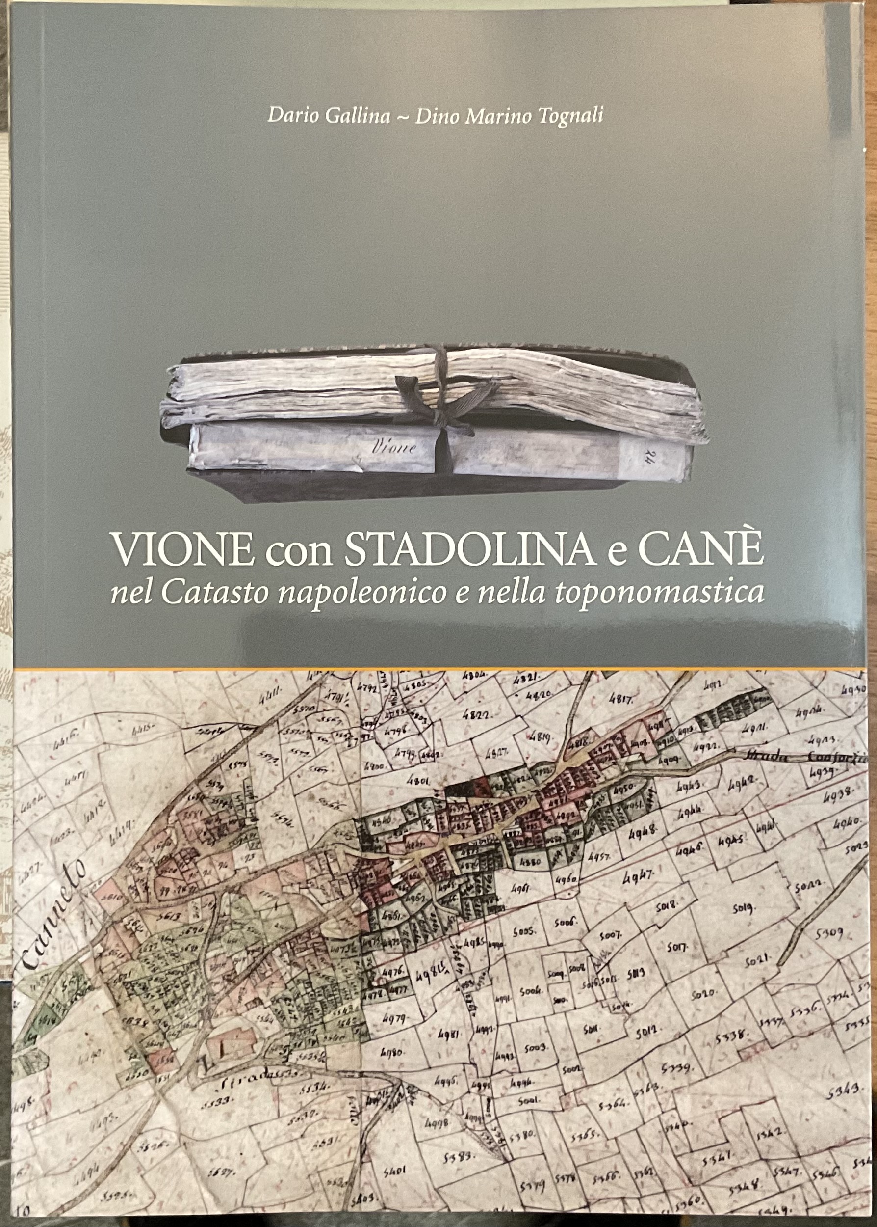 Vione con Stadolina e Canè nel Catasto napoleonico e nella …