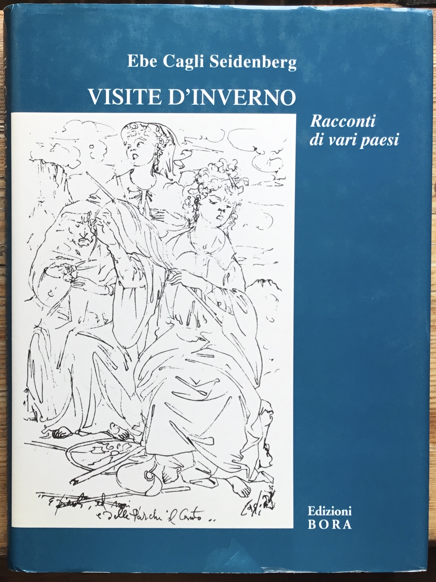 Visite d’inverno. Racconti di vari paesi.