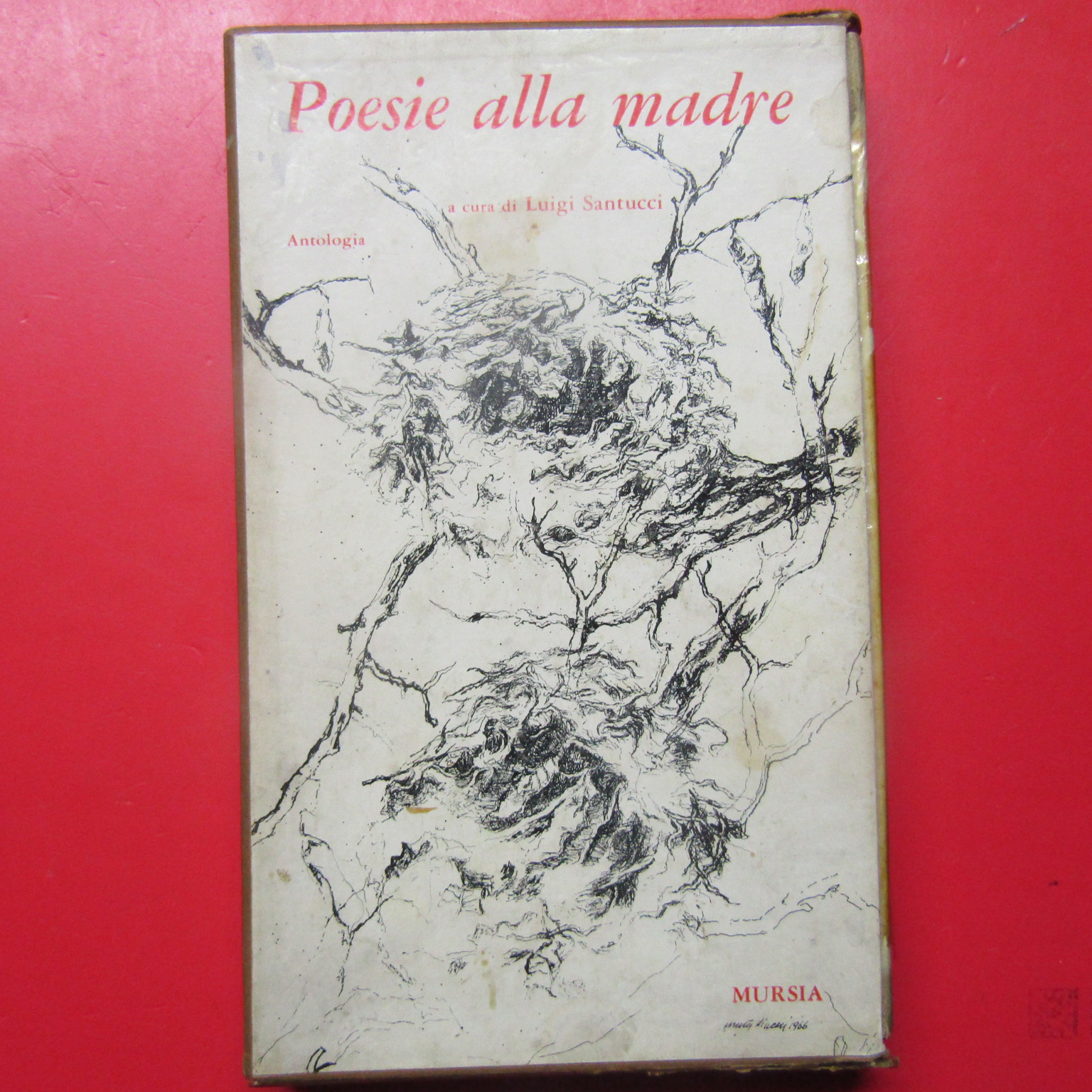 Poesie alla madre