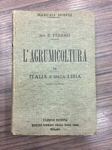 L'agrumicoltura in Italia e nella Libia