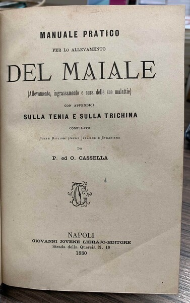 Vita breve di S. Luigi Gonzaga