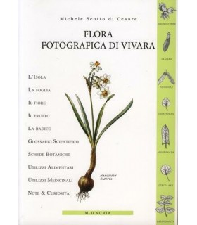 Flora fotografica di vivara.