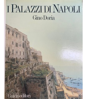 I palazzi di Napoli.