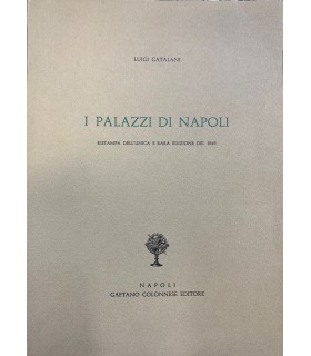 I palazzi di Napoli.