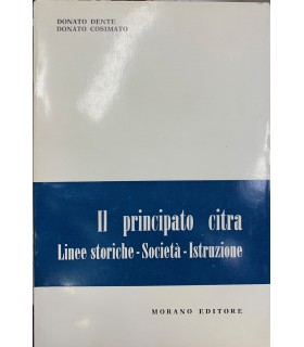 Il principato citra. Linee storiche - Società - Istruzione.