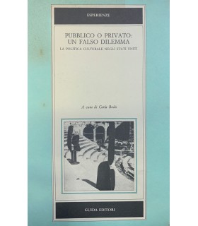 Pubblico o privato: un falso dilemma.