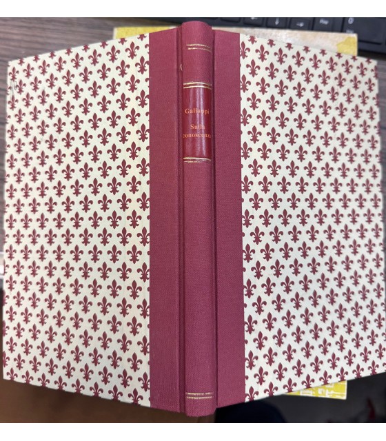 Saggio filosofico sulla critica della conoscenza.