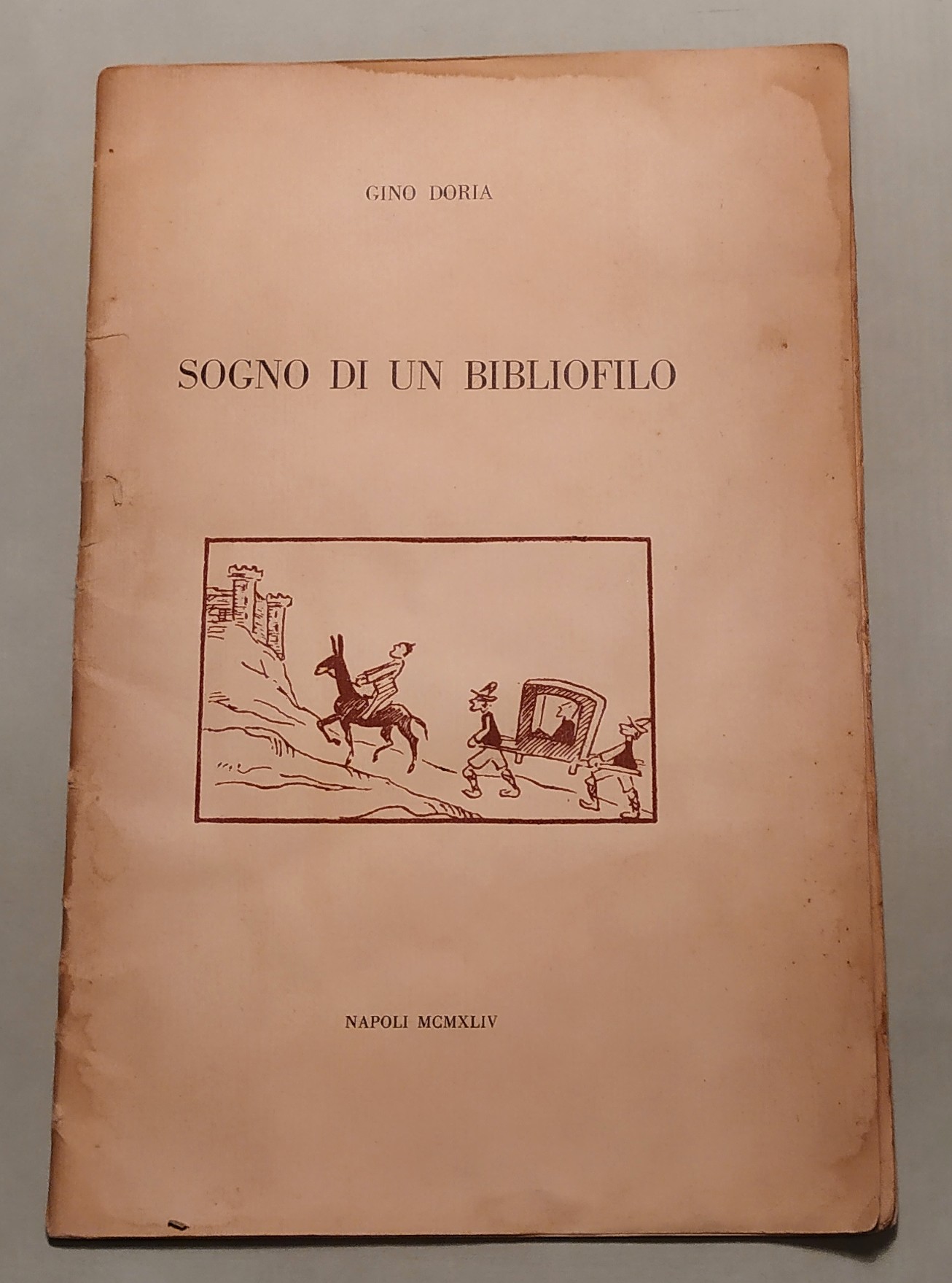 Sogno di un bibliofilo.