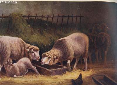 FAC SIMILE TABLEAU REPRESENTANT SCENE CHAMPETRE : MOUTONS, ALLAITEMENT ET …
