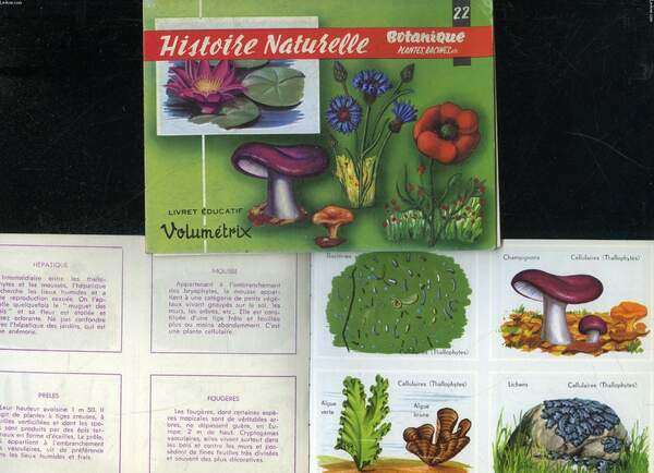 HISTOIRE NATURELLE BOTANIQUE PLANTES, RACINES, ETC N°22