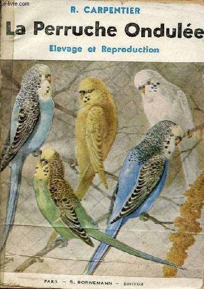 La perruche ondulée élevage et reproduction.